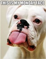 Monday Face.jpg