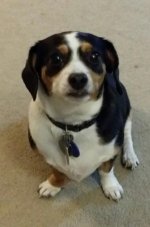 20160118_192155.jpg