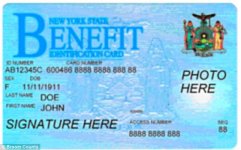 ebt1.jpg
