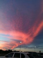 ImageUploadedByTapatalk1453671413.361819.jpg