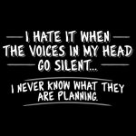 The voices are silent.jpg