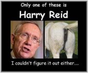 Which is Harry.jpg