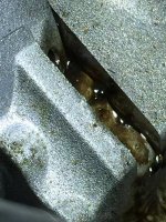 IMG_1921.jpg