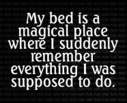 50-Best-Funniest-Humor-Quotes.jpg