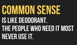 Common Sense.jpg
