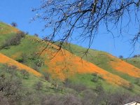 Local Mountains.jpg