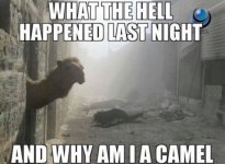 What Happened.jpg