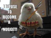 No McNuggets here.jpg