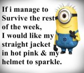 Hot Pink Straight Jacket.jpg
