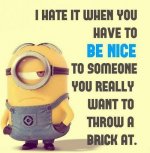 Throw the Brick.jpg