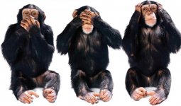 Hear-No-Evil-See-No-Evil-Speak-No-Evil.jpg