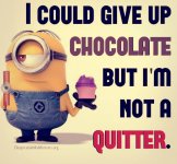 No Quitter.jpg