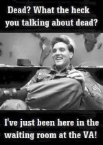 elvis.jpg