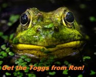eye-to-eye-frog-copy.jpg
