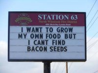 Bacon.jpg