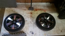 20160325_185228.jpg