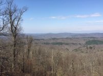 IMG_1315.jpg