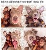 FB_IMG_1459173678522.jpg