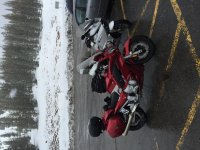 IMG_0041.jpg