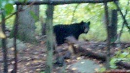 2012-10-10_11-56-34_956.jpg