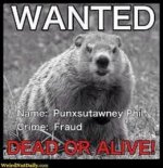 Wanted Dead or Alive.jpg
