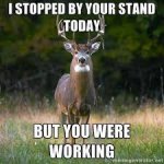 You were working.jpg