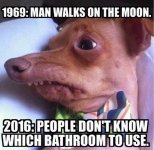 walks moon.jpg