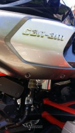 20160405_135406.jpg