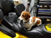 20160410_082335.jpg