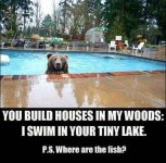 Where are the fish.jpg