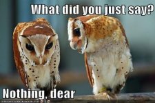 WHAT Did You Say.jpg