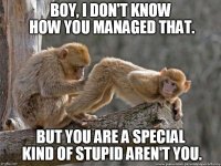 Special Kind of Stupid.jpg
