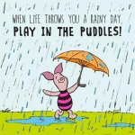 piglet.jpg