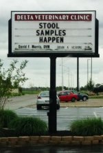 stool sample.jpg