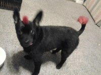 20120129_200658.jpg