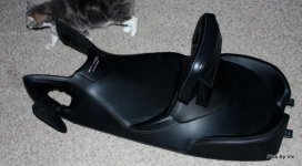 IMG_9238.jpg