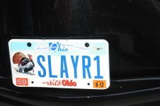 DSC_2923.jpg