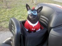 IMG_20120229_180427.jpg