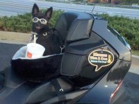DroidPix-10-2010 897.jpg