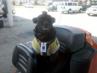 IMG_20120306_124014.jpg