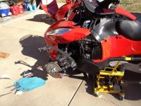IMG_0910.jpg IMG_0910.jpg