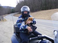 Tinks ride 002.jpg