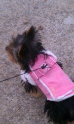IMAG0289.jpg