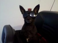 IMG_20120318_191156.jpg