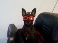 IMG_20120318_191129.jpg
