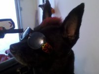 IMG_20120318_191205.jpg