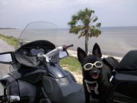 DroidPix-10-2010 1007.jpg