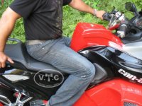 IMG_1318WM.jpg