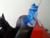 IMG_20120319_173329.jpg
