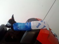 IMG_20120319_173317.jpg